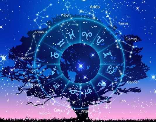 best astrologer in shepherd
