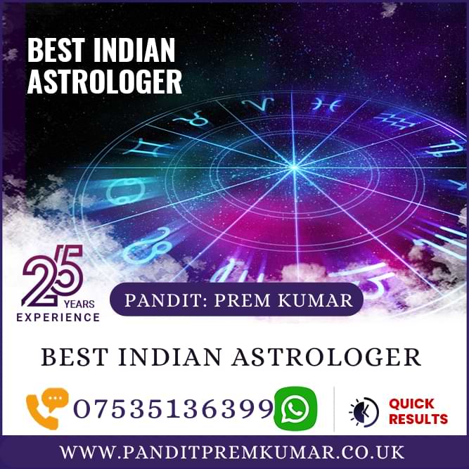 best indian astrologer